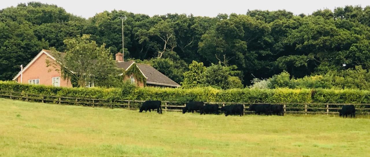 Yellowham Farm, Dorchester Higher Bockhampton Exterior foto