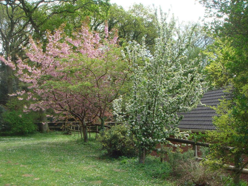 Yellowham Farm, Dorchester Higher Bockhampton Exterior foto