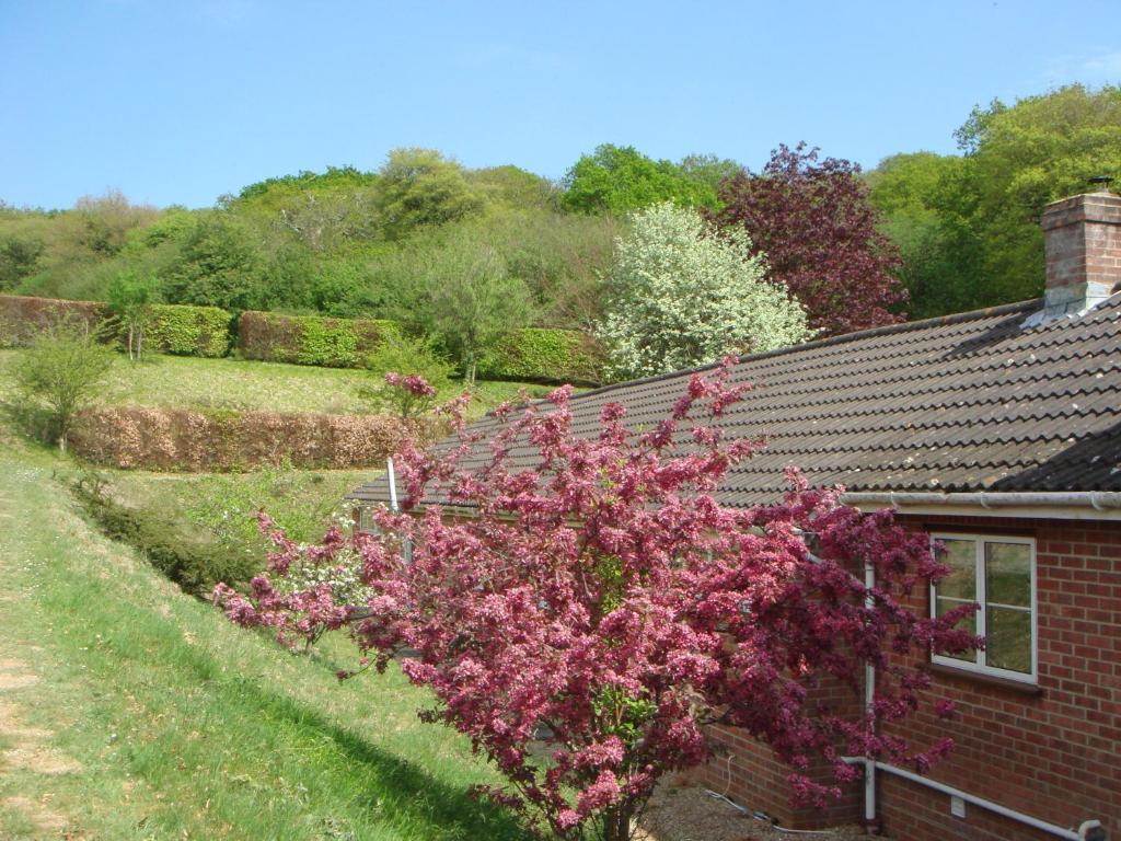Yellowham Farm, Dorchester Higher Bockhampton Exterior foto